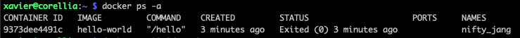getting-the-hello-world-container-id